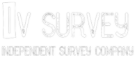 Survey services